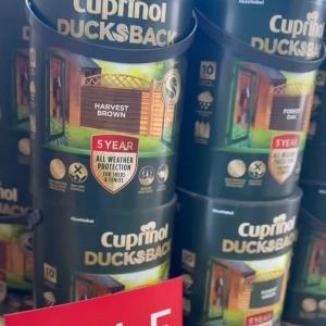 Transform Your Home & Garden with a fresh coat of paint! 🖌️ Looking to brighten up your living s...