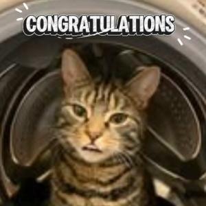 🎉🐾 Competition Winner Announcement! 🐾🎉 A big thank you to everyone who entered our Cat Tr...