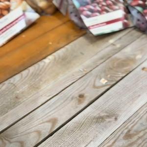 Is your garden looking a little wild? We’ve got everything you need to spruce it up. From leaf blow...