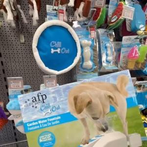 ☀️🐾 Keep your furry friend cool with our top picks for doggie chill gadgets! From cooling mats...
