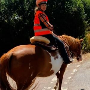 🟡🐴 Be Seen, Be Safe! 🐴🟡 Whether you’re out on country roads or riding near fields and t...