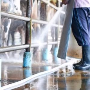 Maintaining a clean milking parlour is crucial for every dairy farmer. It ensures a clean, safe, and...